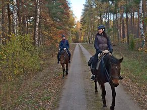 Rajdy konne dla dorosłych jesienią – czas na oddech w siodle!