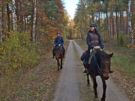 Rajdy konne dla dorosłych jesienią – czas na oddech w siodle!