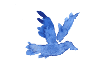 a0e0f4526850628e85ffdafb0a499014_w200.gif