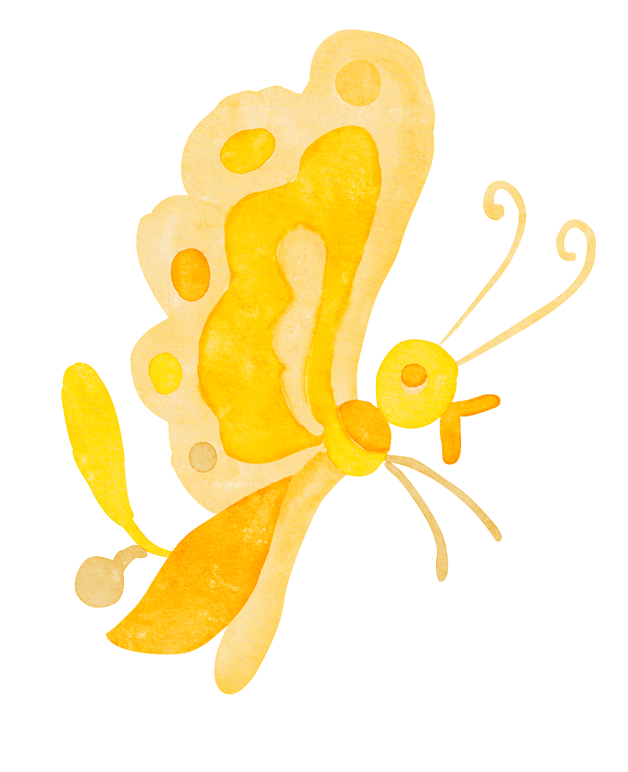 butterfly-2.gif
