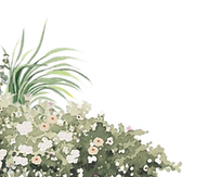 Group of 2 Objects (3)_edited.png