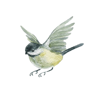 Pajaro-3cuartos.gif