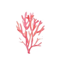 200w (6).webp