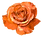 FLOR ANARANAJADA.png