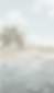 fondoweb.png
