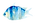 Pez 2.png