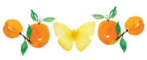 mariposas naranjas.png