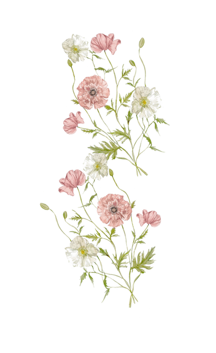 ARREGLO IZQ.png
