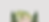 FONDO SIMPLE.png