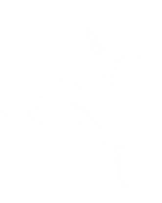 flor 5.png