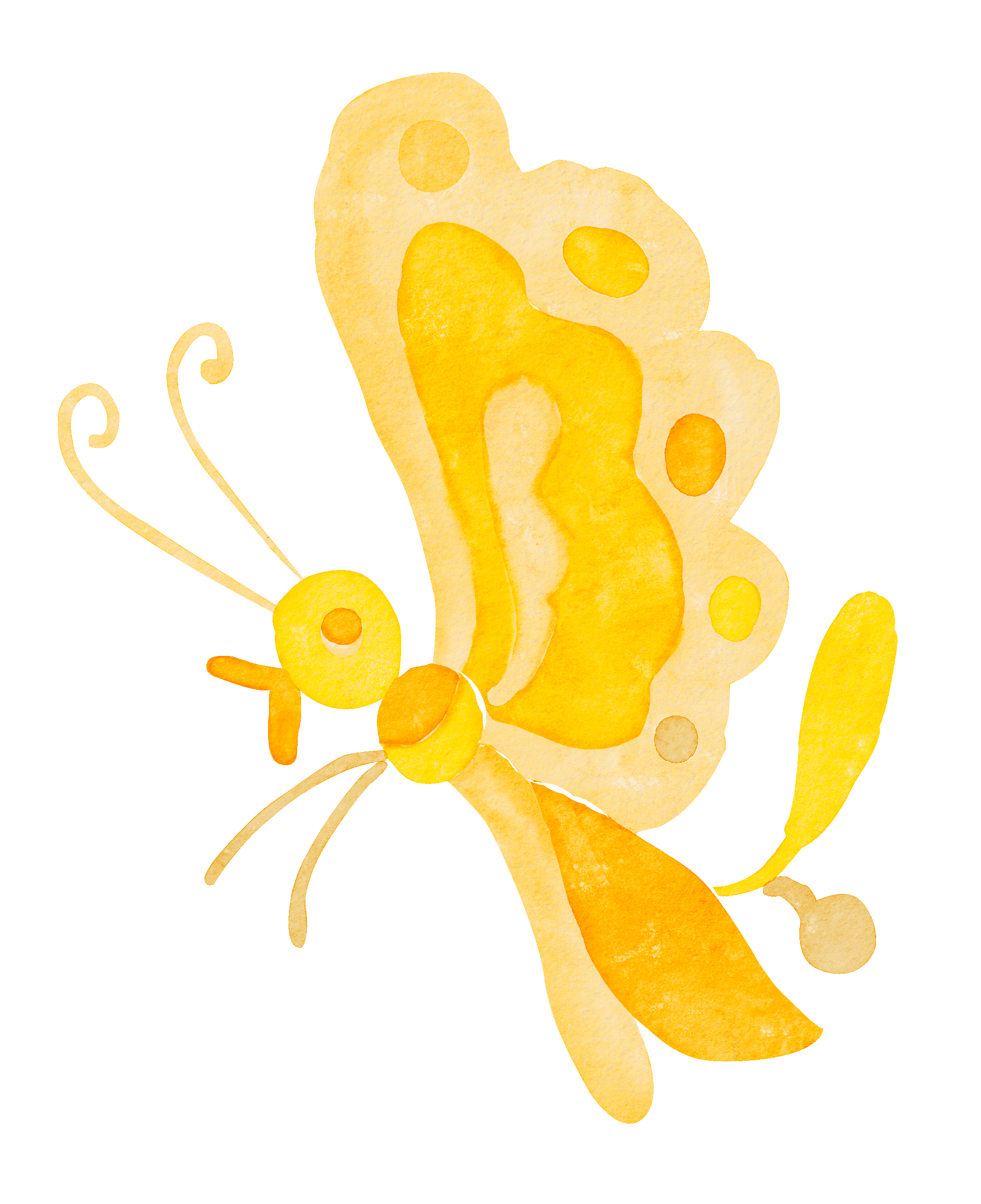 butterfly-sin-fondo.gif