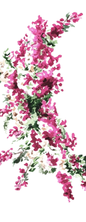 flor_edited.png