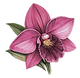FLOR01.png