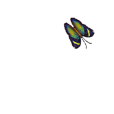 1619780_3dc90.gif