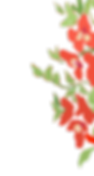 flores 2_edited.png