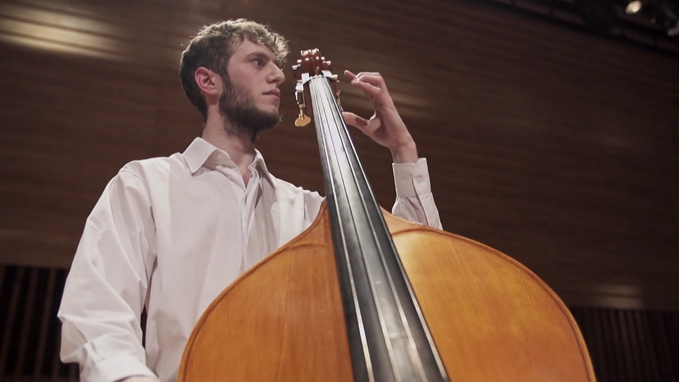 _ensamblados,_los_instrumentos_de_la_orquesta_ (1080p).mp4.00_00_27_12.Still003.png