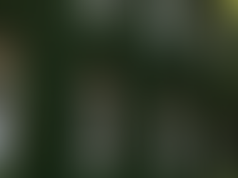 Ivy Day 2026 decision timeline and Ivy League admissions results overview