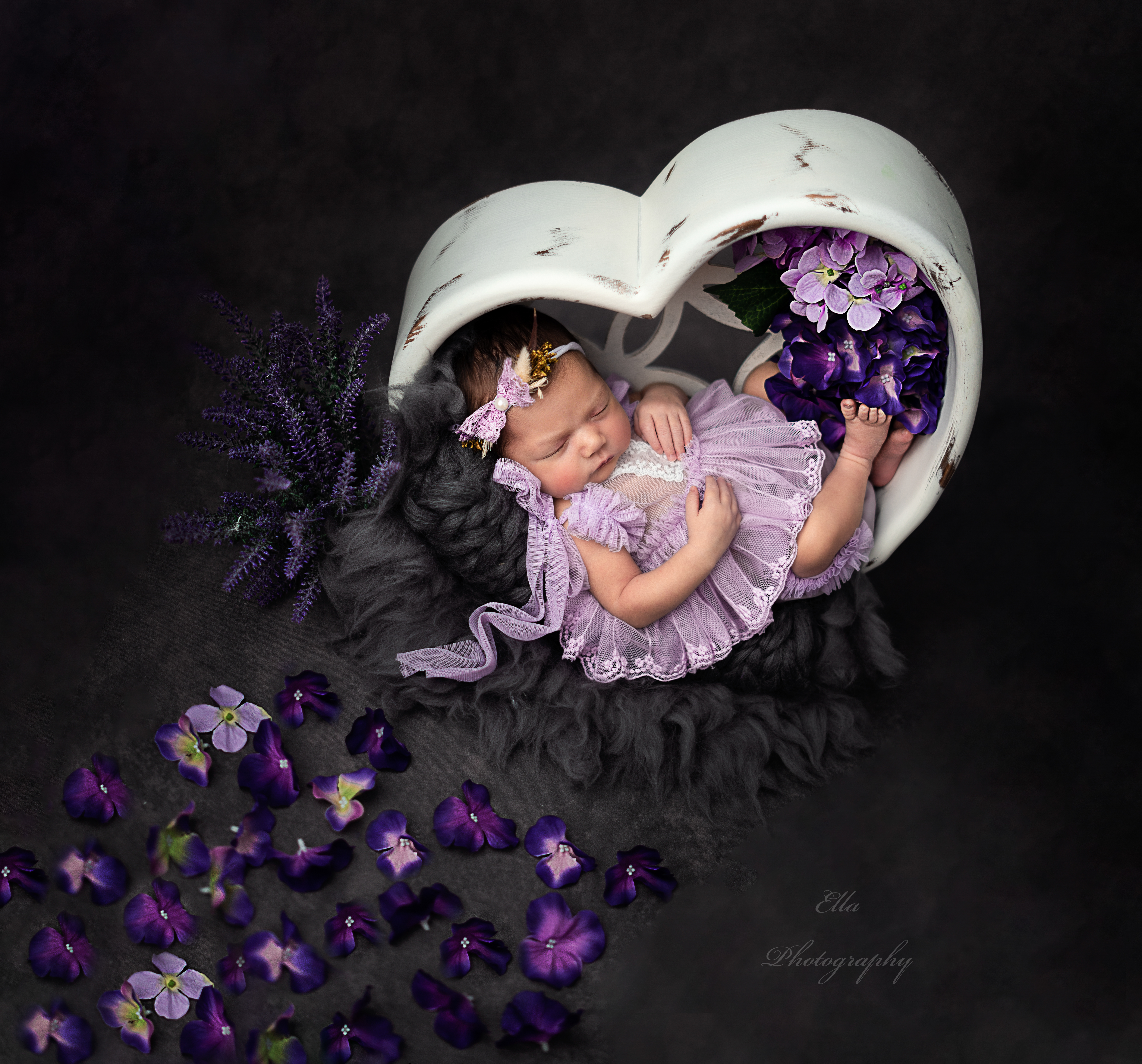 Yazarın fotoğrafı: Ella Photography