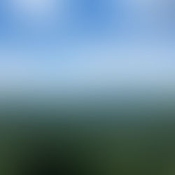 Hiking Black Bear Mountain (Inlet, NY) - Fulton Chain Trifecta