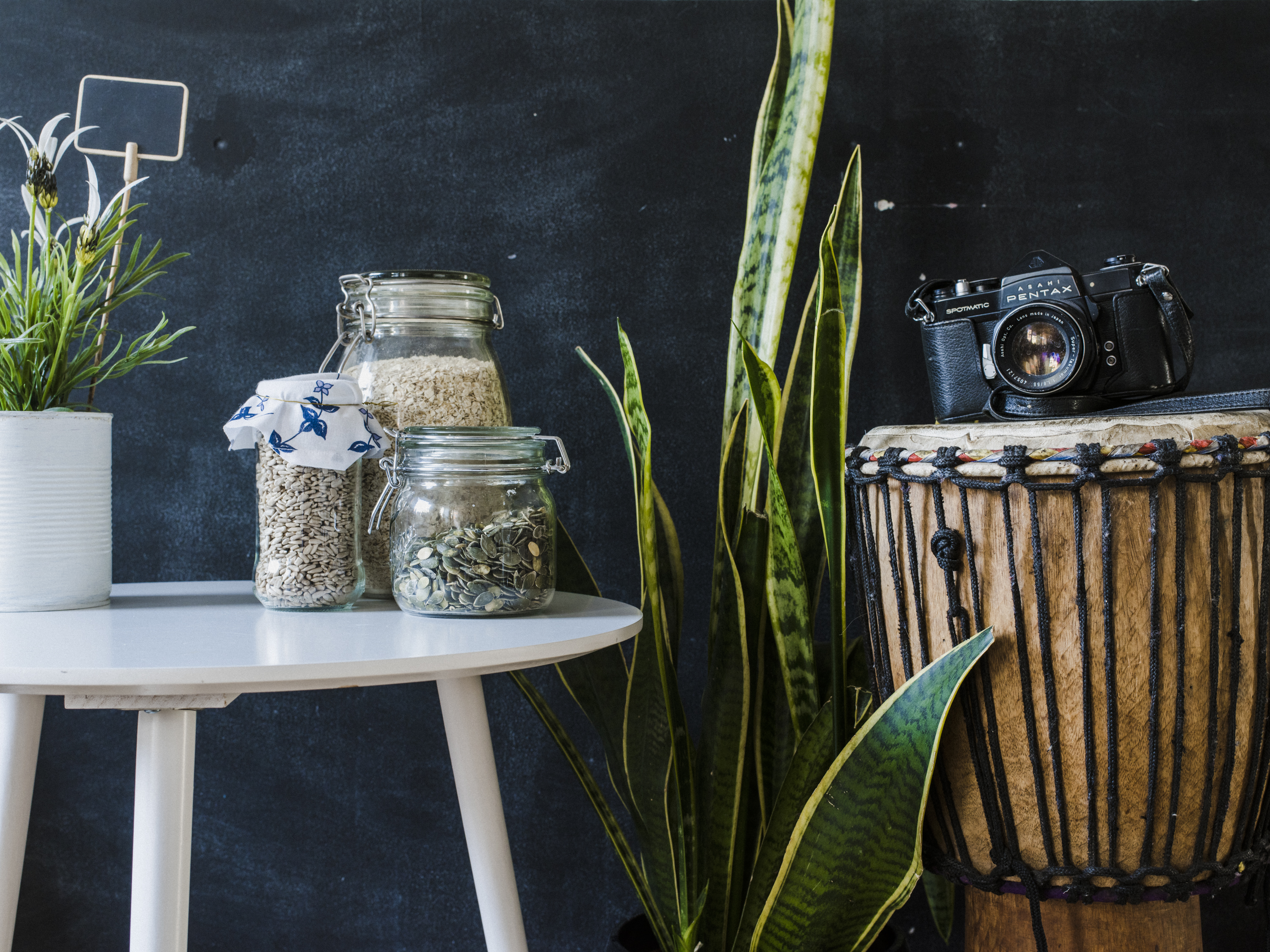 Nye røtter på Rotvoll Gård