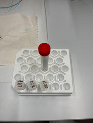 Microbead Solutions