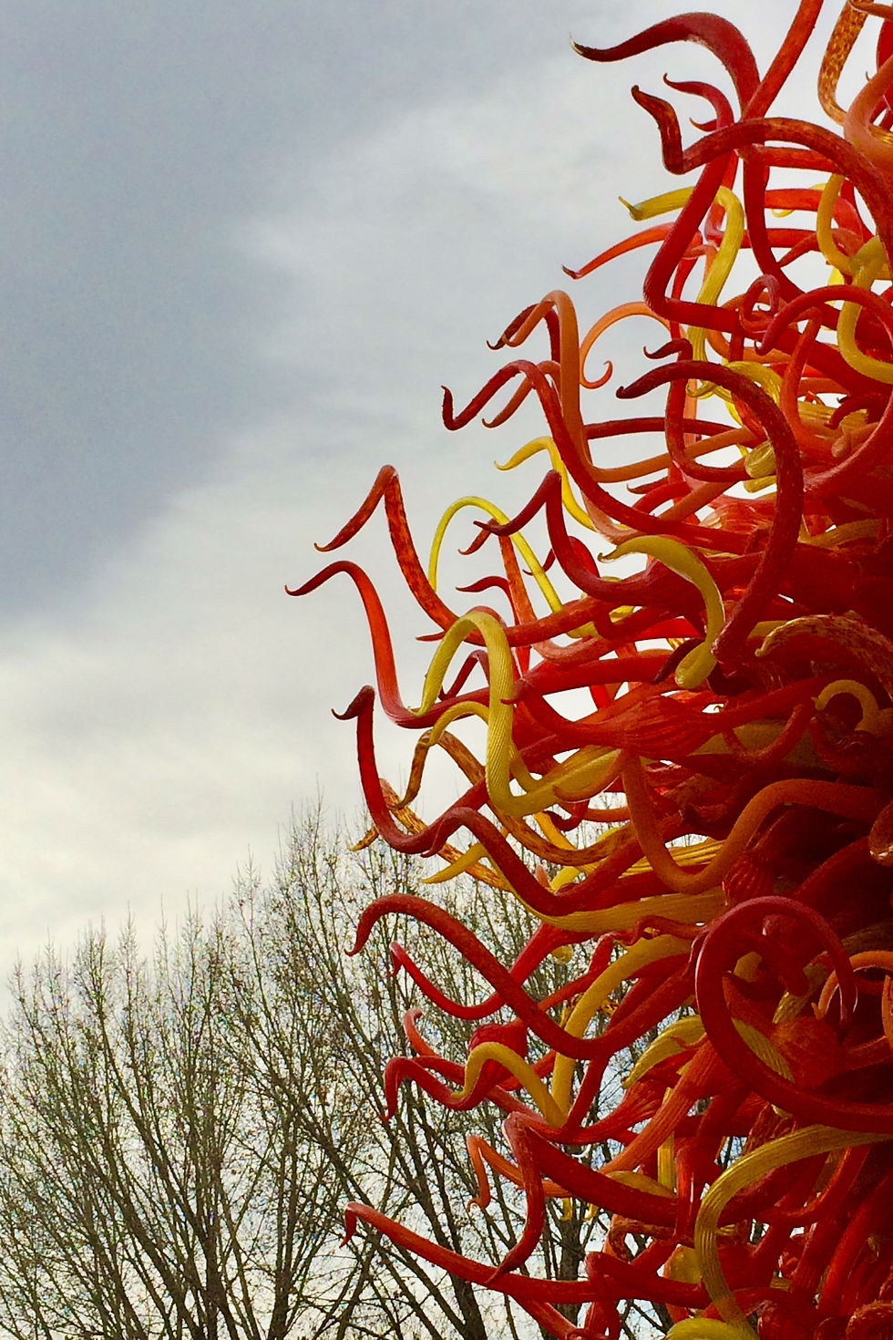 Red and yellow Chihuly glass sculpture installation at Denver Botanic Gardens photographed against cloudy sky