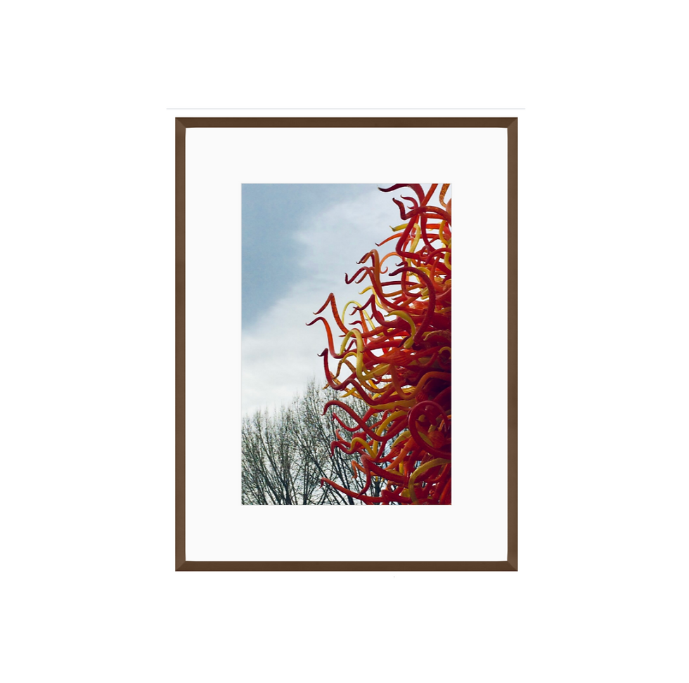 Field of Fire Chihuly glass sculpture photograph framed as wall art
