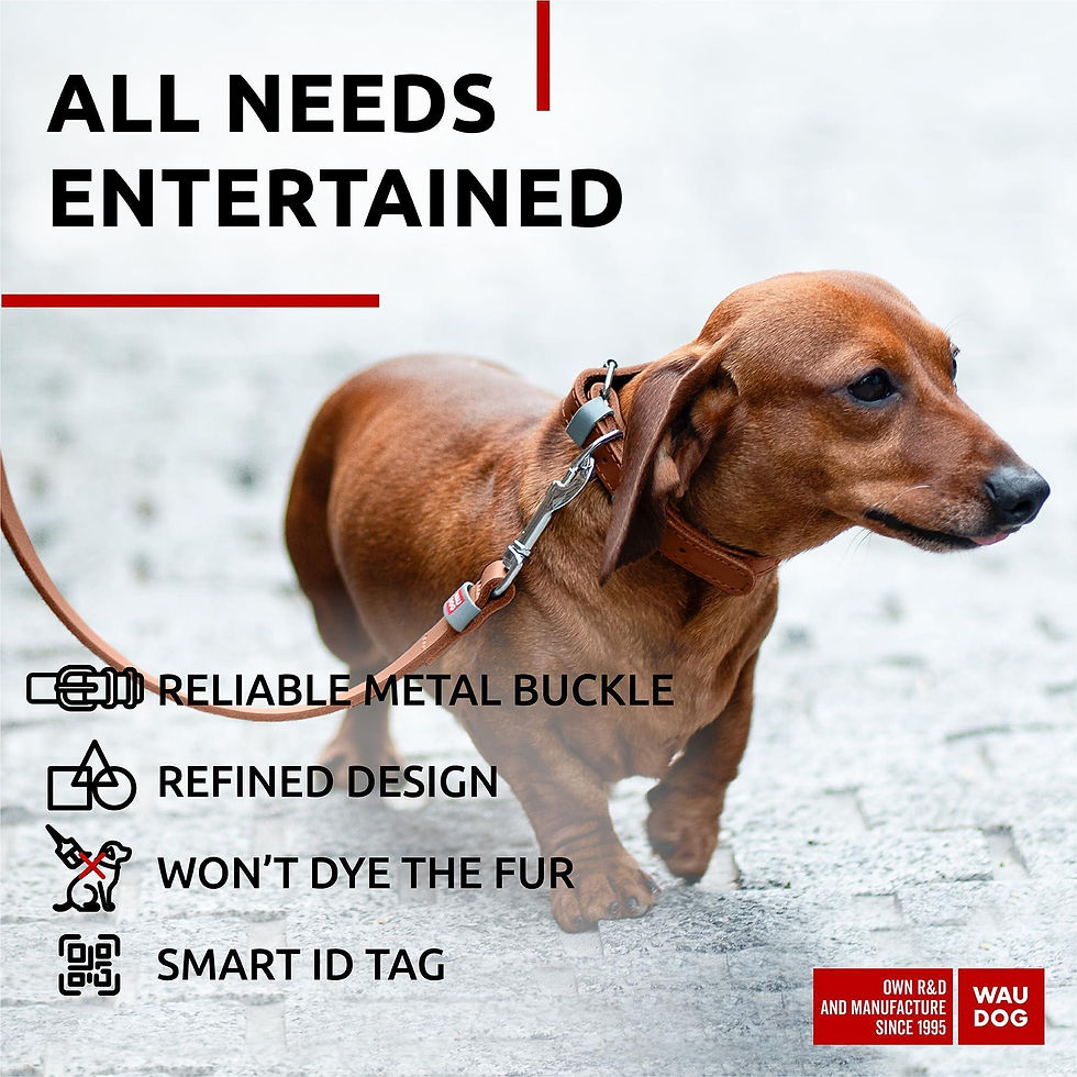 Thumbnail: Long Lasting Leather Dog Collar for XSmall Dogs 811 inch Neck x 0.5 inch Wide
