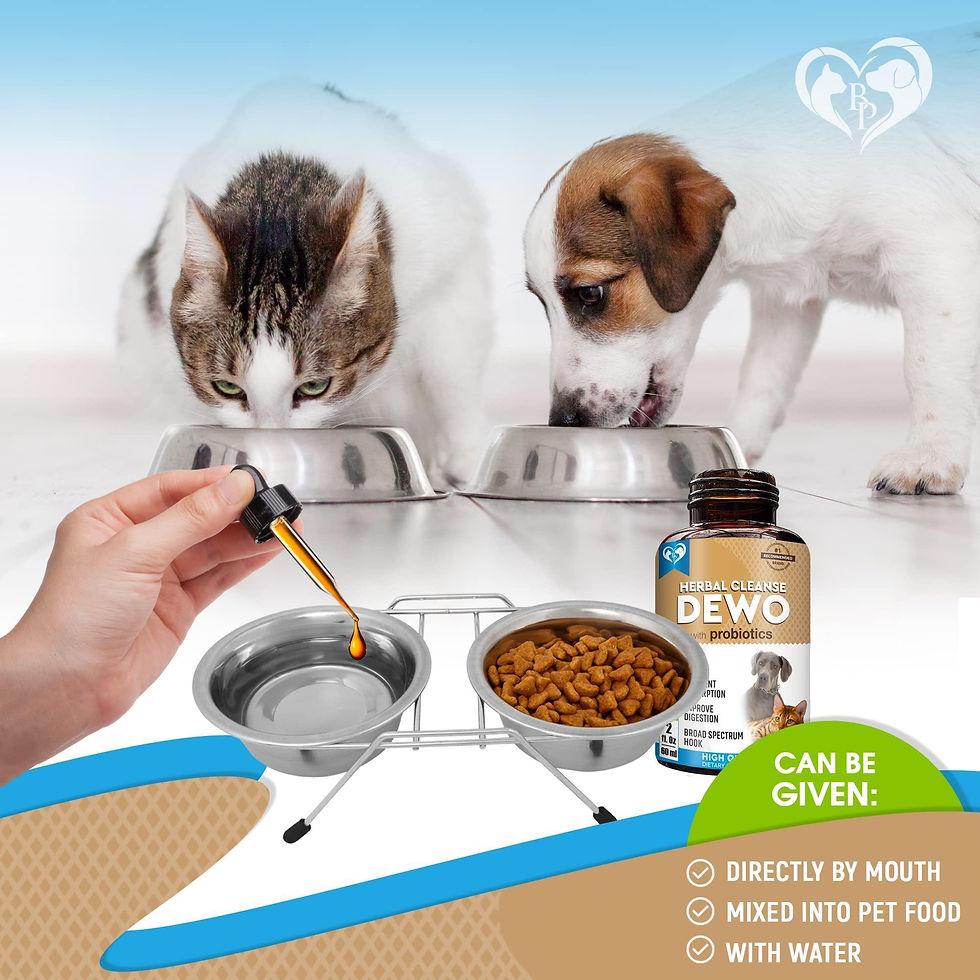 Thumbnail: Cats Dogs Natural Worm Treatment with Probiotic Liquid Herbal Medicine Daily Use