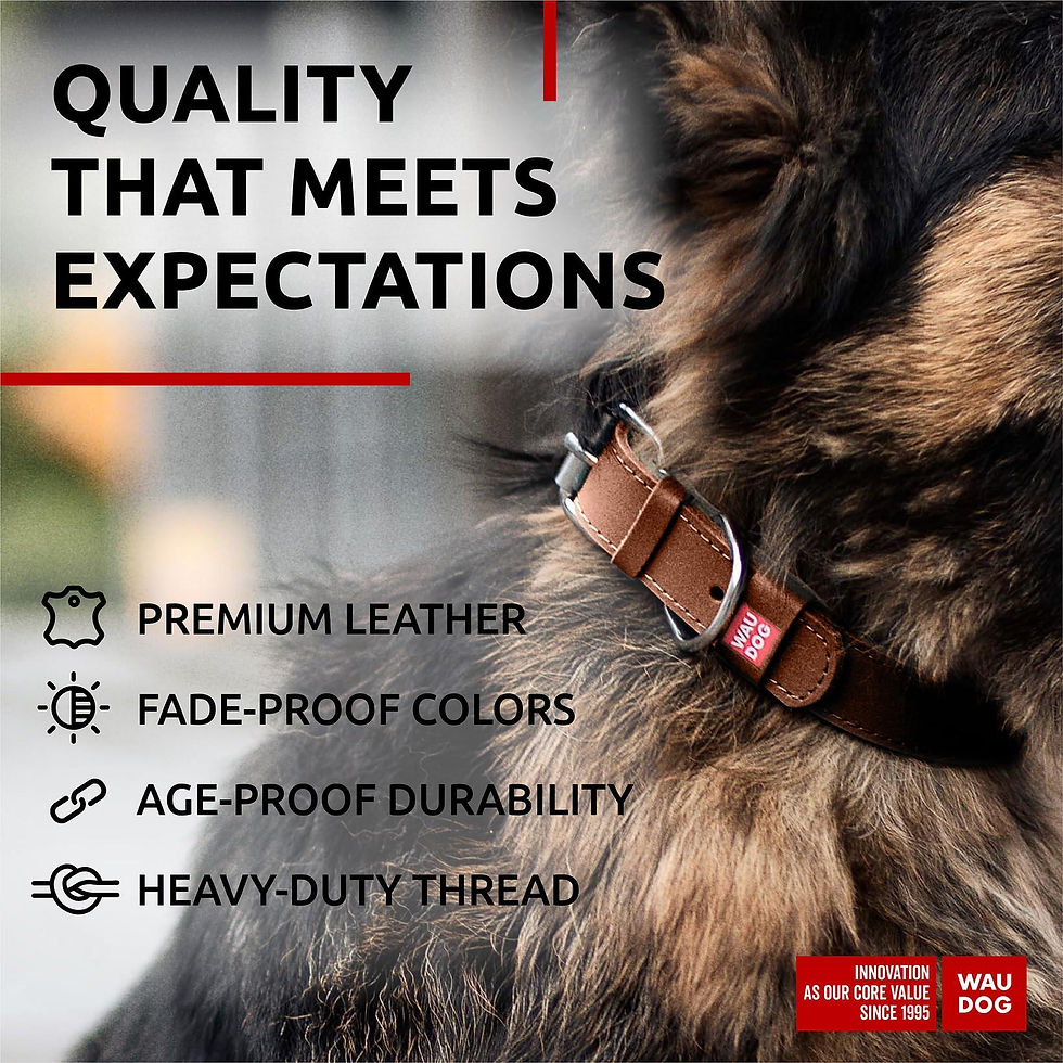 Thumbnail: Brown Long Lasting Leather Dog Collar for Small and Medium Dogs 1215 inch Neck