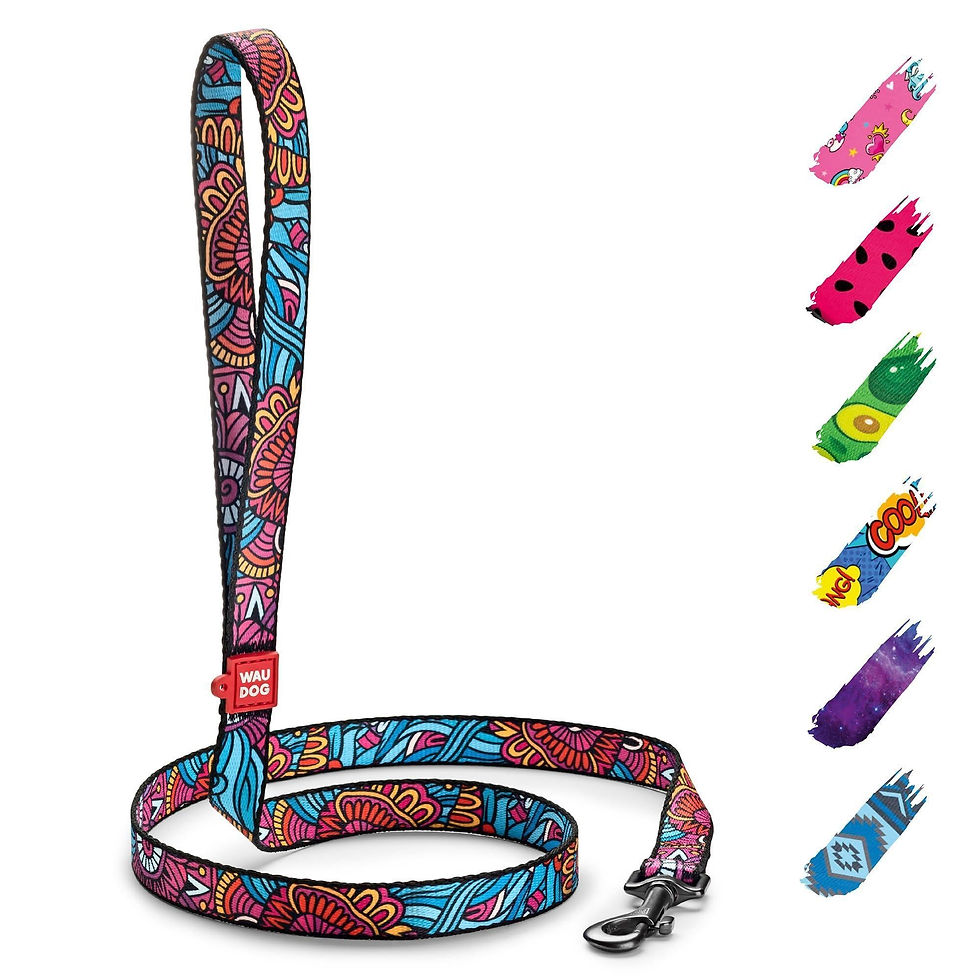 Thumbnail: Nylon Dog Leash for Medium and Large Dogs 4 Ft x 1 inch Wide Summer Color