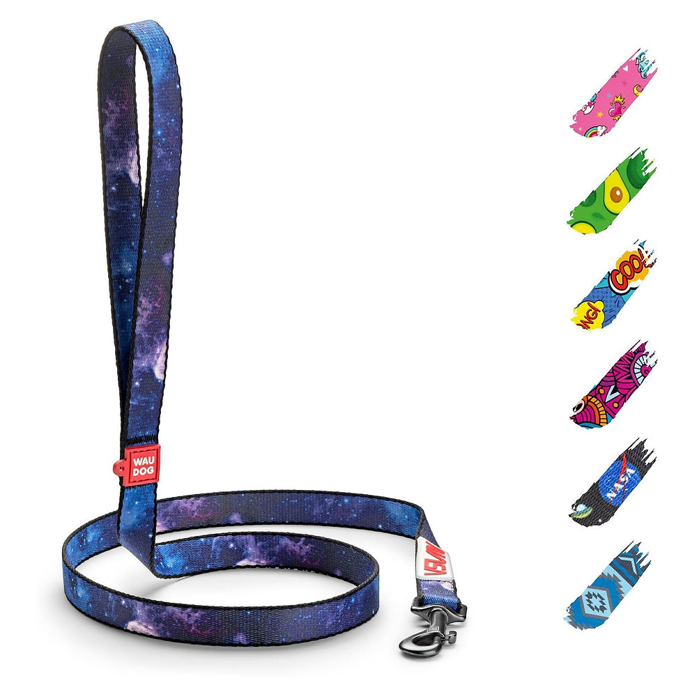 Thumbnail: Nylon Dog Leash for Small Dogs and Medium Dogs 4 Ft x 3/5 inch Wide NASA Color