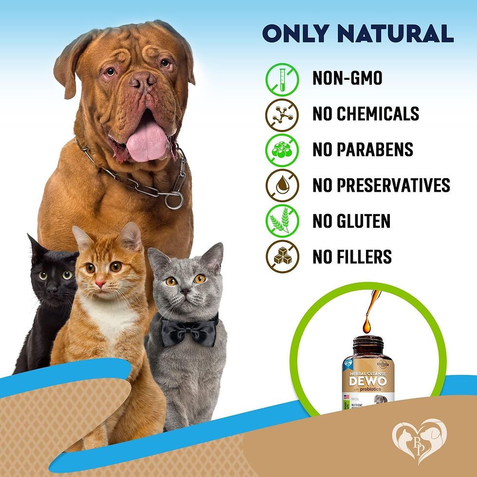 Thumbnail: Cats Dogs Natural Worm Treatment with Probiotic Liquid Herbal Medicine Daily Use