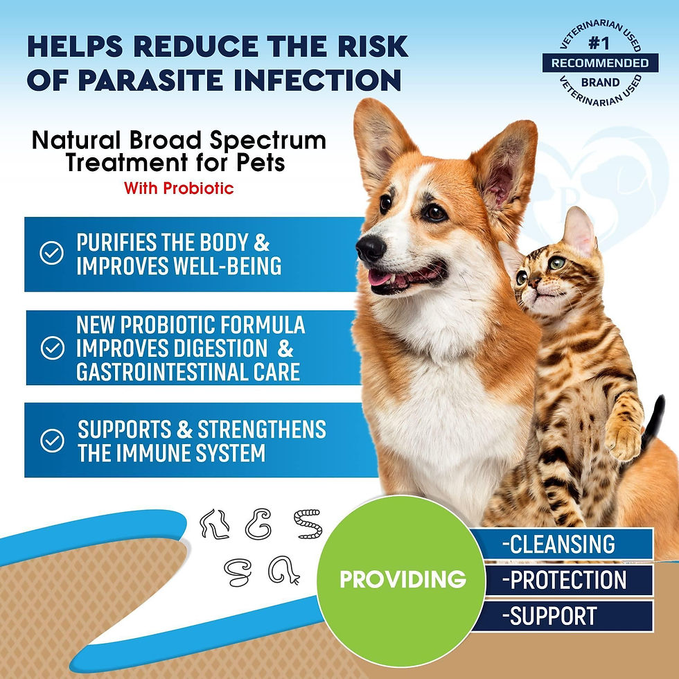 Thumbnail: Cats Dogs Natural Worm Treatment with Probiotic Liquid Herbal Medicine Daily Use