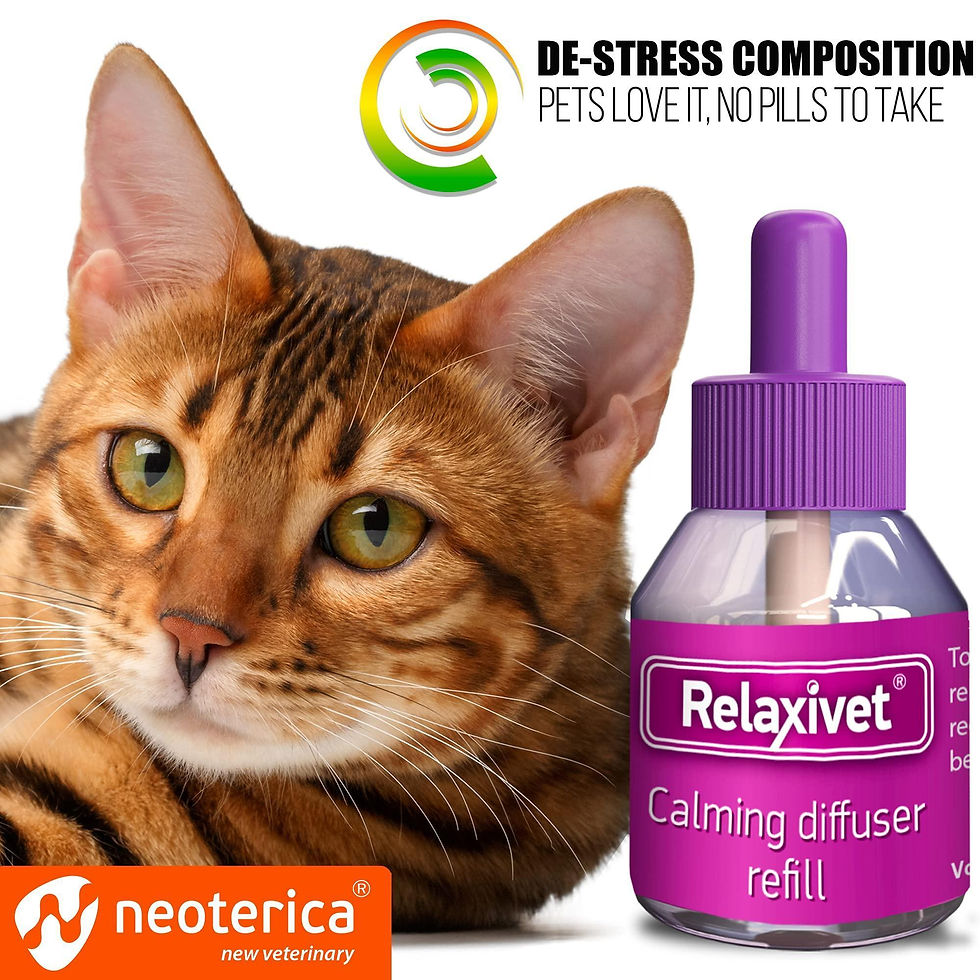 Thumbnail: Calming Cat Diffuser Refill Anti Anxiety Pet Feline Calm Pheromones 6 Pack