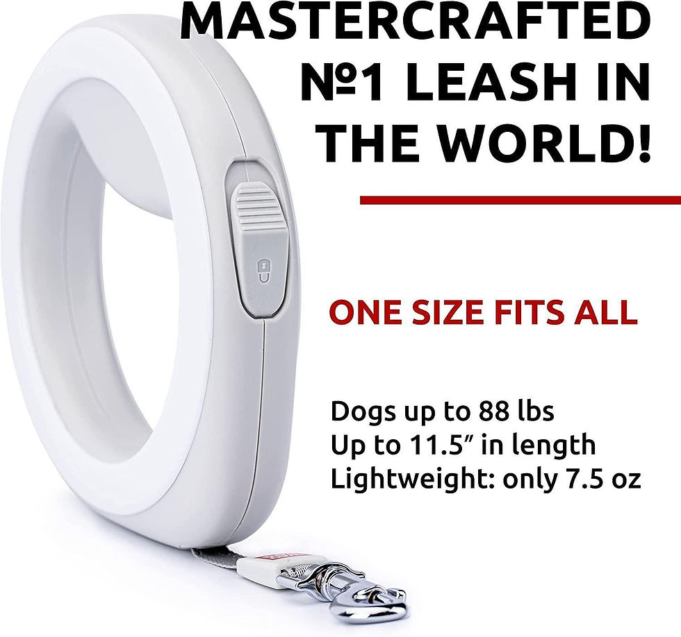Thumbnail: White Hands Free Retractable Dog Leash for Small Medium and Large Dogs 9.5 Ft