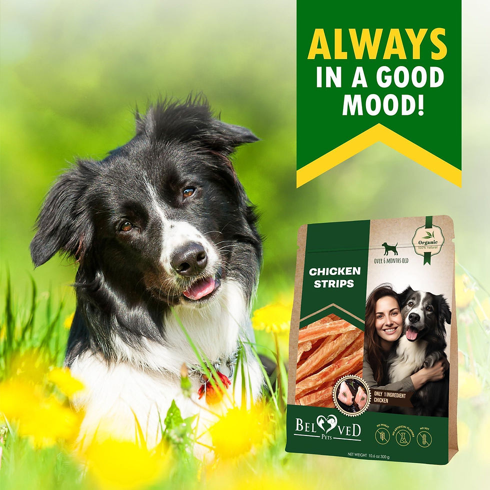 Thumbnail: Chicken Strips Dog Treats Human Grade Meat Sticks Grain Free Chews 10.6 Oz