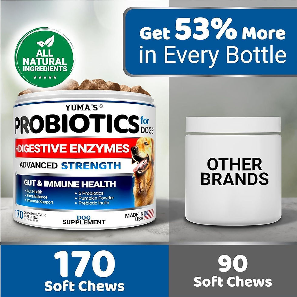 Thumbnail: 2 Pack Probiotics for Dogs and Digestive Enzymes Dog Probiotics Treats 340 Chews