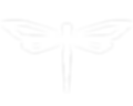 Dragonfly logo