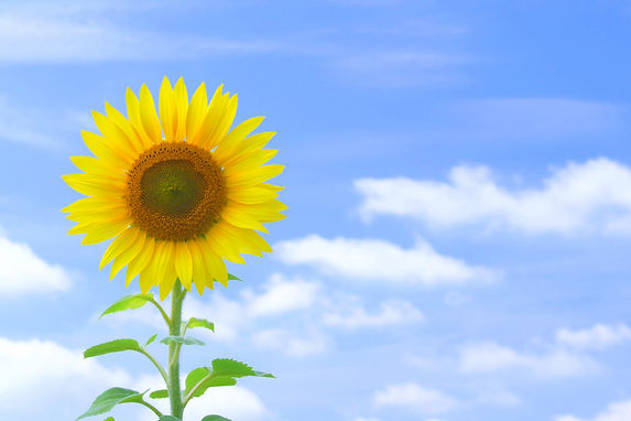 publicdomainq-0033047amtkbk.jpg