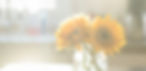 publicdomainq-0007655hzvjcb_1.jpg