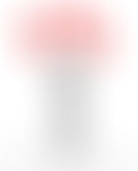 Senior Flu or Senior Shenanigans?