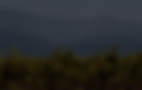 828x525 website IMG (5) (1).png