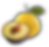 fruits.png