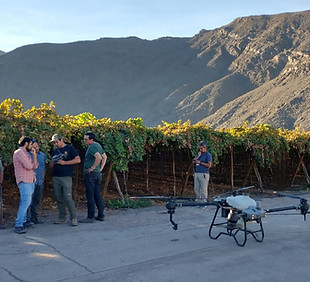 WhatsApp Image 2024-05-23 at 14.39.40.jpeg