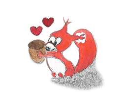 ecureuil coeur.png