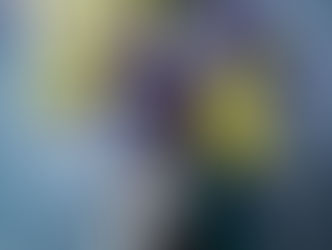 花と植物で魅せるフラワーアーティストHikaru Seinoによる春を迎えるミモザHANANINGEN。フローリストの頭の中の世界。