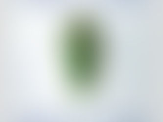 HOLIDAY CLOSURE 【年末年始休業のご案内】