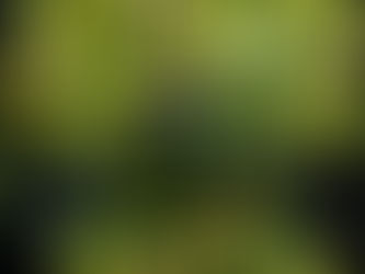 札幌で開店祝いの花を贈りたいお客様へ、円山に素敵なお花屋さんGANONがありますよ