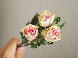 花屋が選別するドライフラワーにしやすい花しにくい花